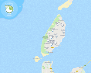 Binnenkort naar Texel? Gebruik de lammetjesradar 1 lammetjesradar