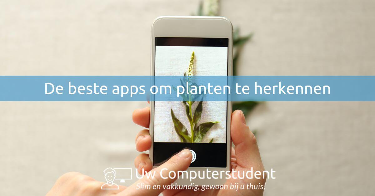 Planten herkennen, met deze apps wordt het een makkie