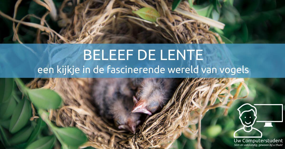 Beleef de lente